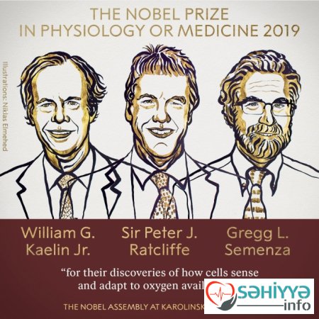 2019-cu il tibb sahəsi üzrə Nobel mükafatı laureatlarının adı elan olunub