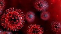 Alimlər koronavirusun əsas 