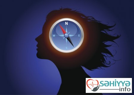 İnsan beyni haqqında bilmədiyiniz 10 möcüzəvi fakt İnsan beyni haqqında bilmədiyiniz 10 möcüzəvi fakt