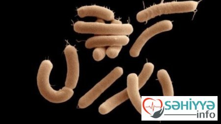 Məşhur həkimdən valideynlərə ŞOK XƏBƏRDARLIQ: Uşaqlarınıza...