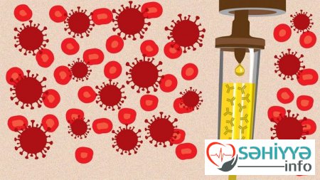 Koronavirus xəstələrinə kimlər plazma donoru ola bilər?