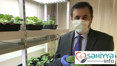 Koronavirusa qarşı vaksin hazırlayan azərbaycanlı professor: “Sınaqları uğurla başa vurmuşuq”