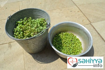 Kal üzümdən hazırlanan məhsul: təzyiqi aşağı salır, qanda şəkəri azaldır