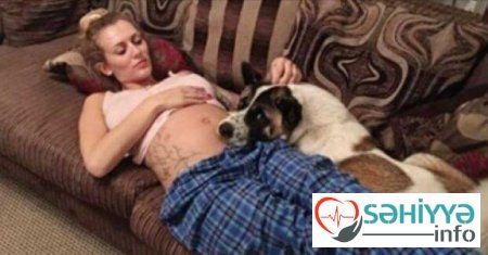 İt hamilə qadının qarnının yanından ayrılmırdı - Həkimlər müayinədə gördüklərinə inanmadılar