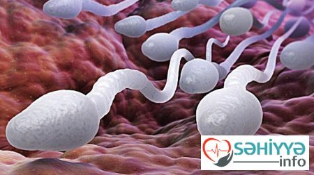 Kişi sonsuzluğuna qarşı yeni üsullar