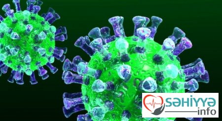 Paytaxt üzrə koronavirusa yoluxma hallarının 15 faizi Binəqədi rayonunda qeydə alınıb