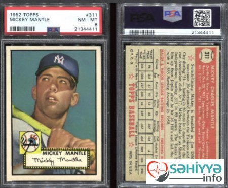 Həkimin uşaqlıq hobbisi ailəsini milyonçu etdi - FOTO