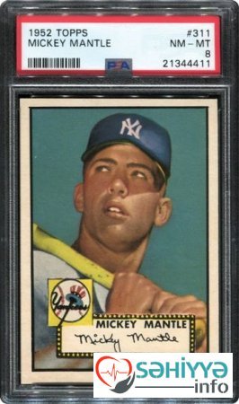 Həkimin uşaqlıq hobbisi ailəsini milyonçu etdi - FOTO