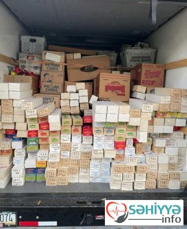 Həkimin uşaqlıq hobbisi ailəsini milyonçu etdi - FOTO