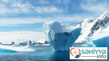 Tibet buzlaqlarında 28 naməlum virus tapıldı