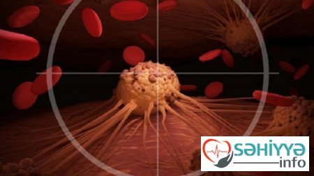 Xərçəng riskini azaldan MƏŞHUR MƏHSUL: çəyirdəkli halda... - FOTO