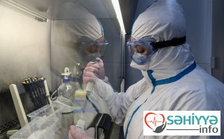 Alimlər koronavirusun orqanizmdə qalma müddətini müəyyən ediblər