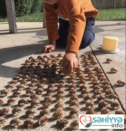 Valideynlər övladları ilə bağlı ən qorxulu məqamları bölüşür - FOTO