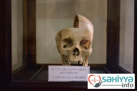 Torpaq qismət olmayanların qəbristanlığı - Bakının ən qorxulu muzeyindən FOTOLAR Torpaq qismət olmayanların qəbristanlığı - Bakının ən qorxulu muzeyindən FOTOLAR