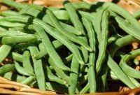 Həyatı 4 il uzadan MƏHSUL. Ekspert açıqladı