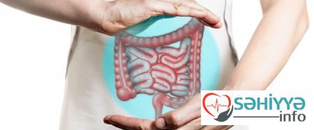 Bağırsaqlar üçün ən faydalı məhsullar