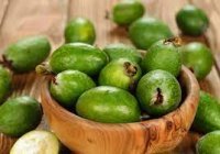Feyxoa sezonu gəldi,xeyirlərini bilirsiniz ?