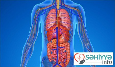 Qocalmaq istəmirsinizsə, bunları edin