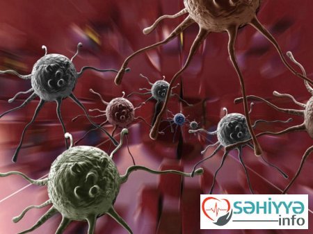 Xərçəng xəstəliyinə yaxalanmamaq itəyirsənsə