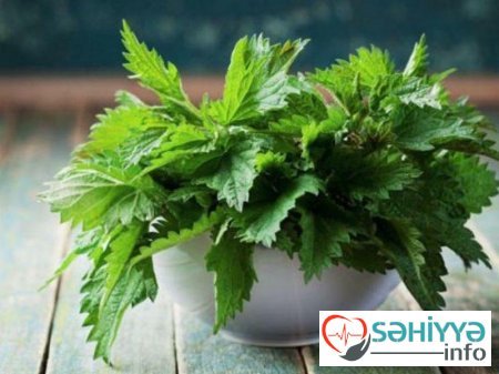 Ana südündən ürək-damar xəstəliklərinə qədər hər dərdin dərmanı - GİCİTKƏNİN FAYDALARI