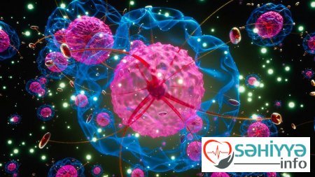 Bu komsetik vasitələr xərçəngə səbəb ola bilər