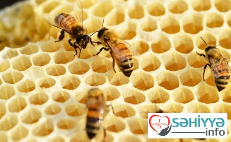 Arı şanından sehrli məlhəm