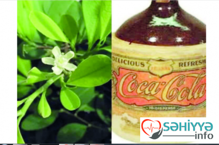 Koka ağacı və “Coca-Cola”