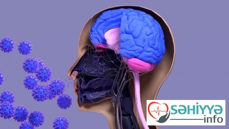 Yapon alimlərinin xəstəliklərdən qoruyan 5 saniyə sirri - Nəfəsinizi saxlayın və...