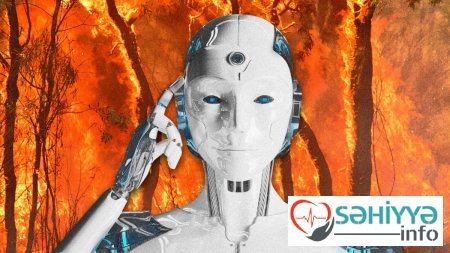 Meşə yanğınlarından daha tez xəbər tuta biləcəyik - Yanğınlarda süni intellekt dövrü başlayır