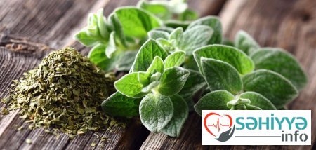 Limondan 100 dəfə güclü və faydalı - Bütün mikrobları öldürür