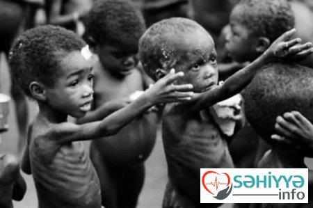 2024-cü ildə Afrikada aclıqdan əziyyət çəkən insanların sayı rekord həddə çatacaq