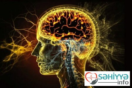 Beyin sağlamlığı üçün ən vacib qidalar - Siyahı