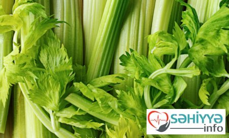 Kərəviz faydaları və zərərləri Kərəviz faydaları və zərərləri