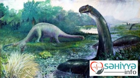 Alimlər dinozavrda insanlarda rast gəlinən xərçəng növü aşkar etdilər