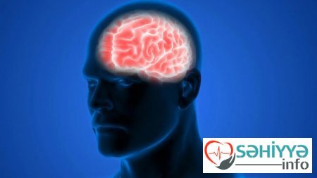 Qərar qəbul etmə zamanı beynin tam aktivliyi necə olur? - Alimlər kəşf etdi