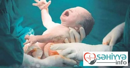 Tibbdə SENSASİON TAPINTI: Körpələr artıq bioloji analarsız da doğula biləcək