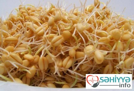 Cücərmiş taxılın faydaları – Diabetdən necə qoruyur?