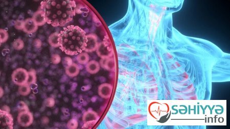 Hər il 2,5 milyon insan yoluxur - Riski artıran 6 amil