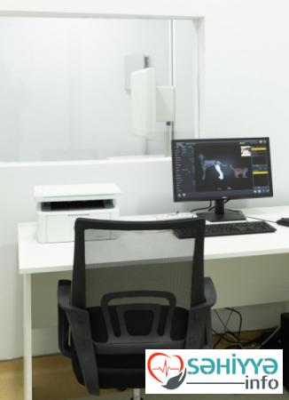 Alyona Əliyeva Lənkəranda Baytarlıq Klinikasının açılışı ilə bağlı paylaşım edib Alyona Əliyeva Lənkəranda Baytarlıq Klinikasının açılışı ilə bağlı paylaşım edib