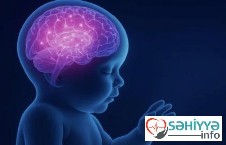 Uşaq beyni haqqında maraqlı faktlar