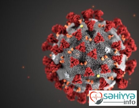 Yeni mutasiya olunmuş virus, yoxsa qrip.. Həkim məsləhəti