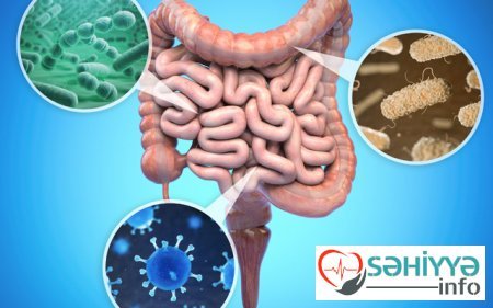 Mədə-bağırsaq problemləri nə zaman təhlükəlidir?