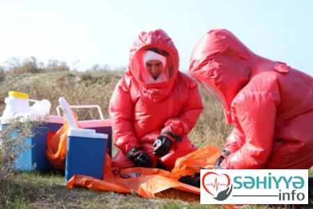 Azərbaycanda quş qripinə qarşı növbəti monitorinq keçiriləcək