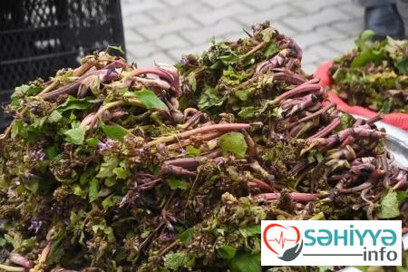 Müharibəyə gedən əsgərlər istifadə edirmiş - Faydası saymaqlq bitmir