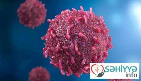 Alimlər mədə-bağırsaq xərçənginin inkişaf səbəbini tapdı