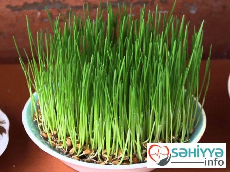 Səmənini atmaq bəla gətirər? – Əcdadlarımızın xəbərdarlığı hələ də keçərlidir