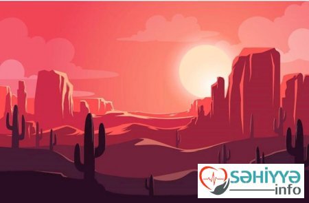 Zəhərdən bal düzəltmək...