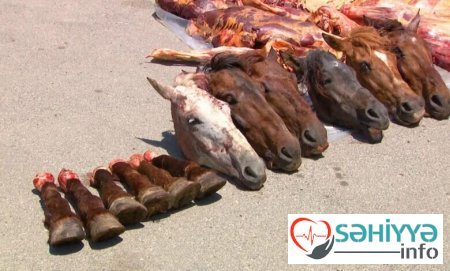 227 kq at əti saxlanıldı.Bakıya gətirilirmiş...