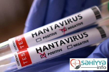 Hande Harmancı hantavirusun Azərbaycanda yayılma riskindən danışdı - Video