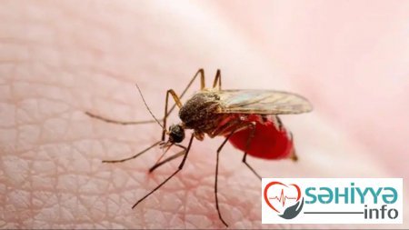 Avropada təhlükəli virus yayılır - 6 nəfər öldü